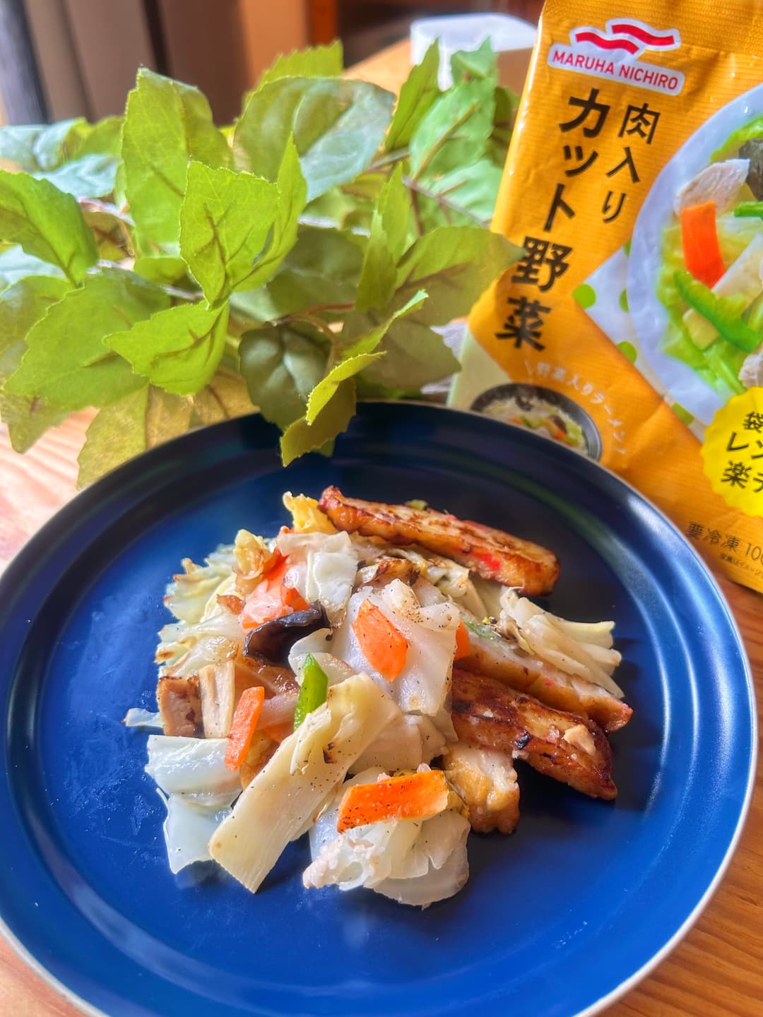 肉入り野菜の塩糀炒めの完成写真
