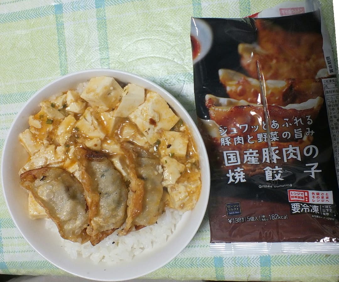 揚げ餃子麻婆丼の完成写真