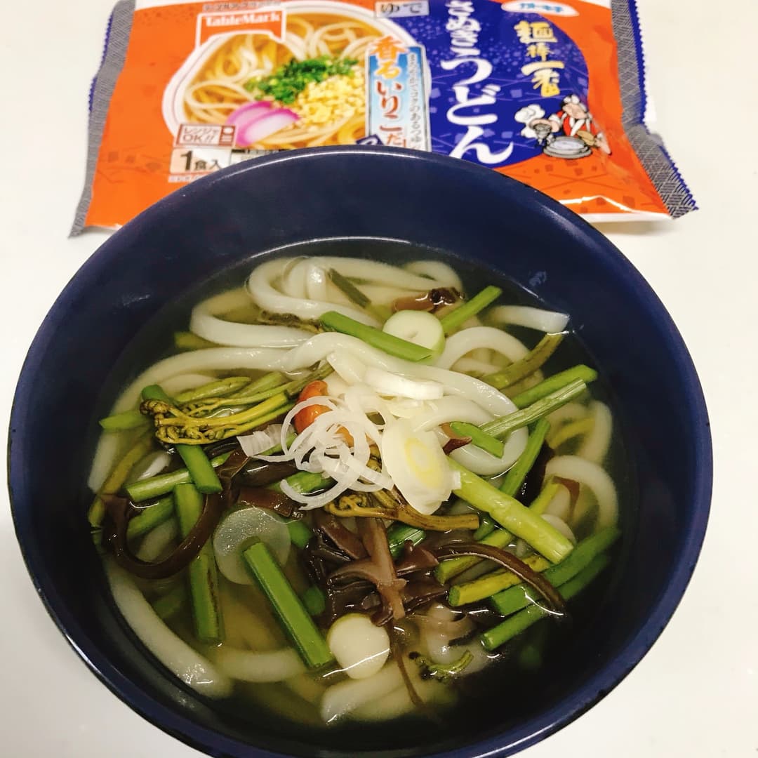 いりこだしの山菜うどんの完成写真