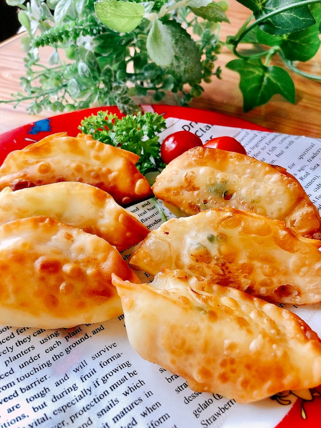 コーンとチーズの揚げ餃子の完成写真