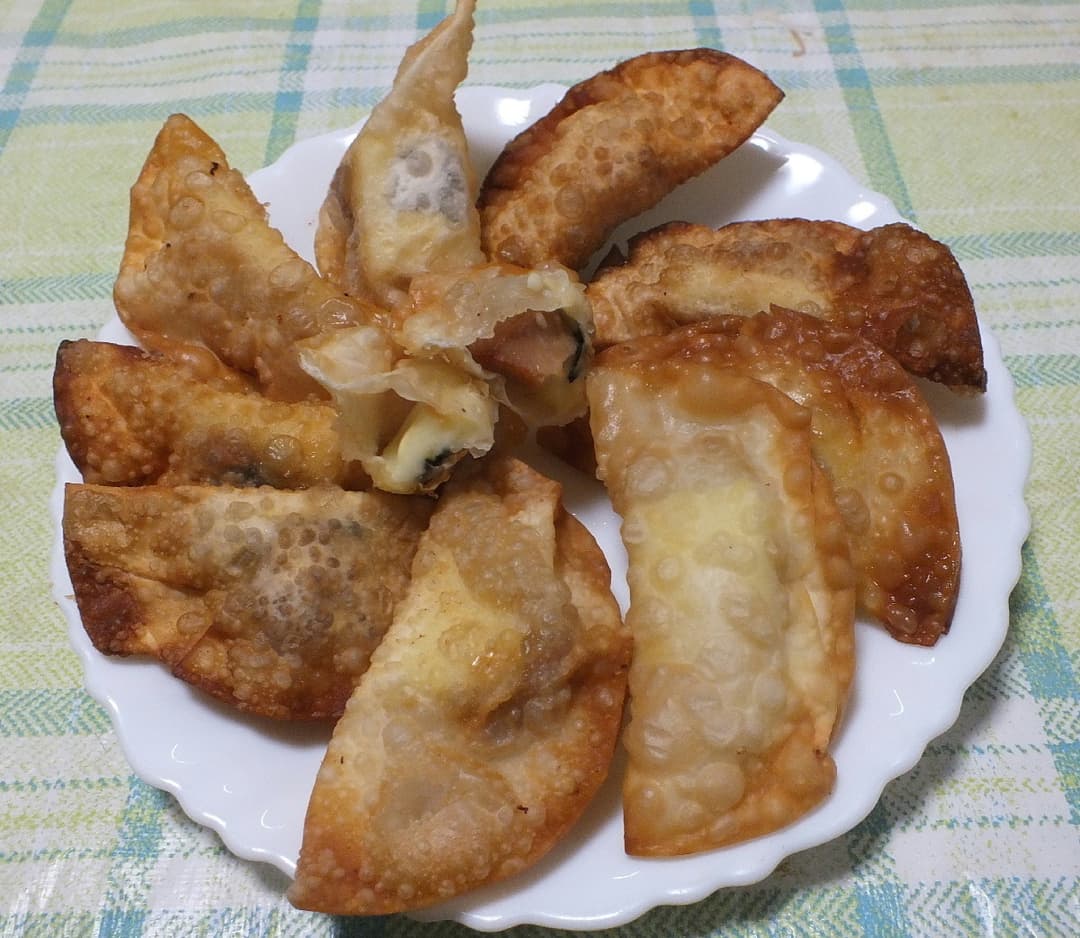 焼き鳥とチーズと海苔の揚げギョウザの完成写真