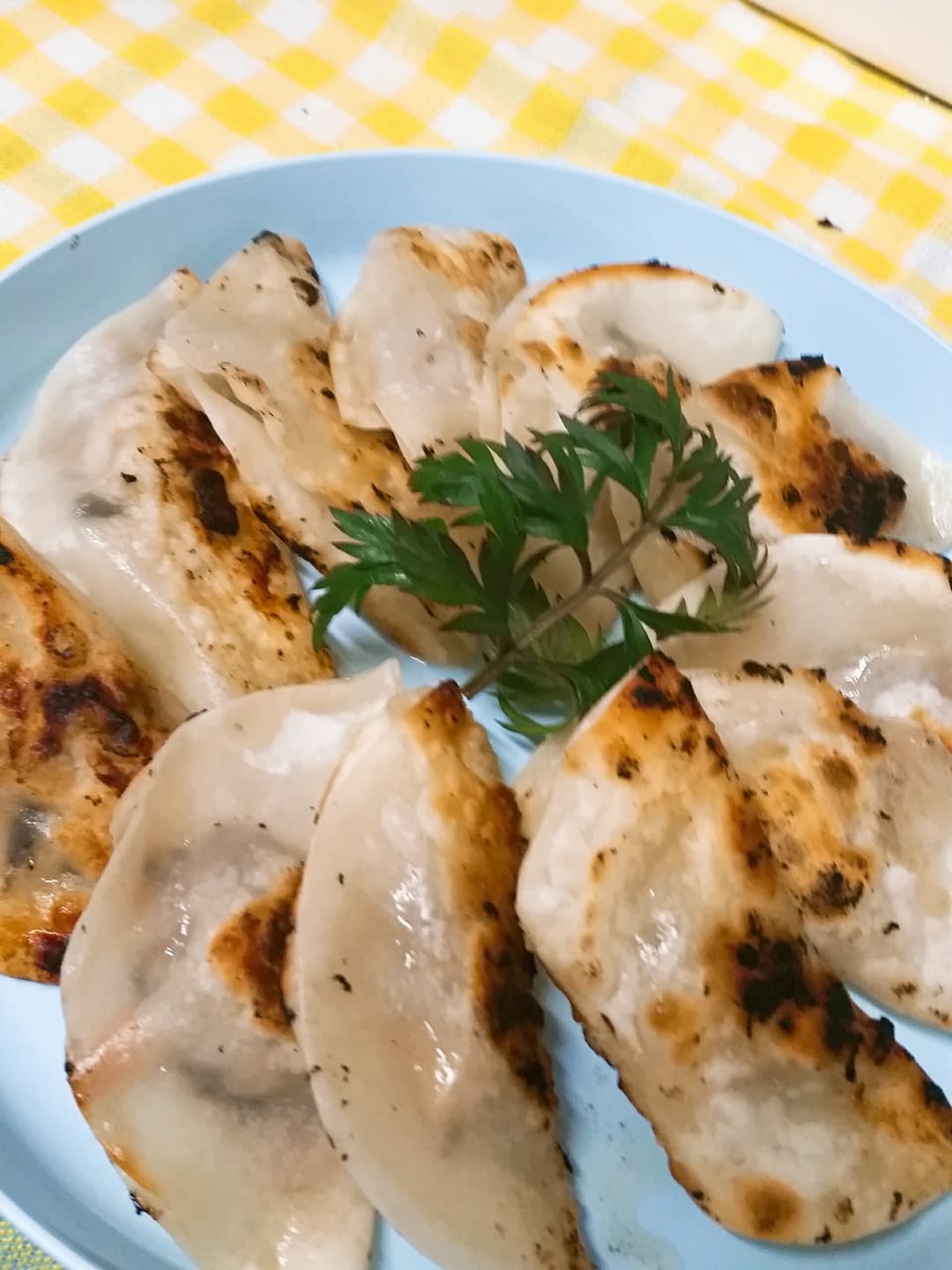 子どもと作れるひじき餃子の完成写真