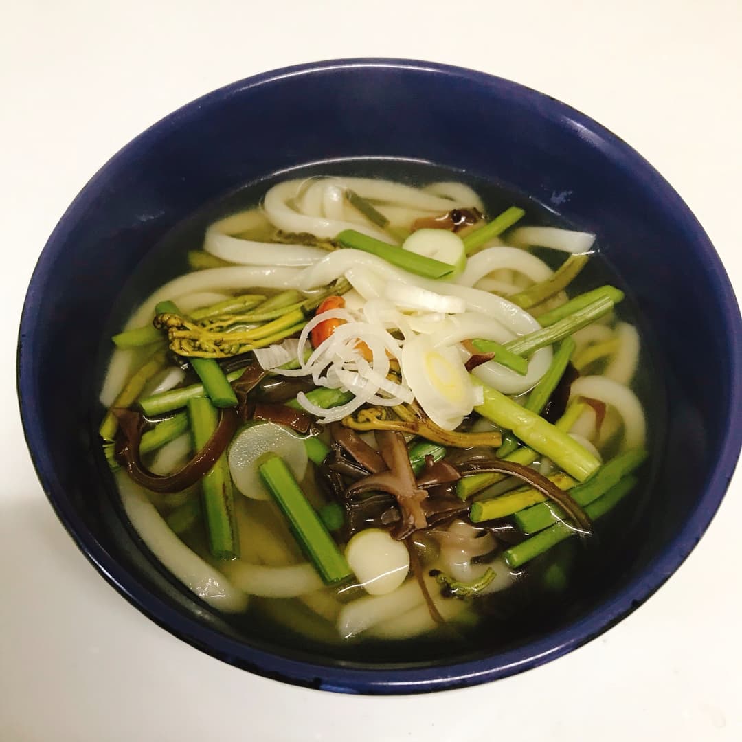 いりこだしの山菜うどんの完成写真
