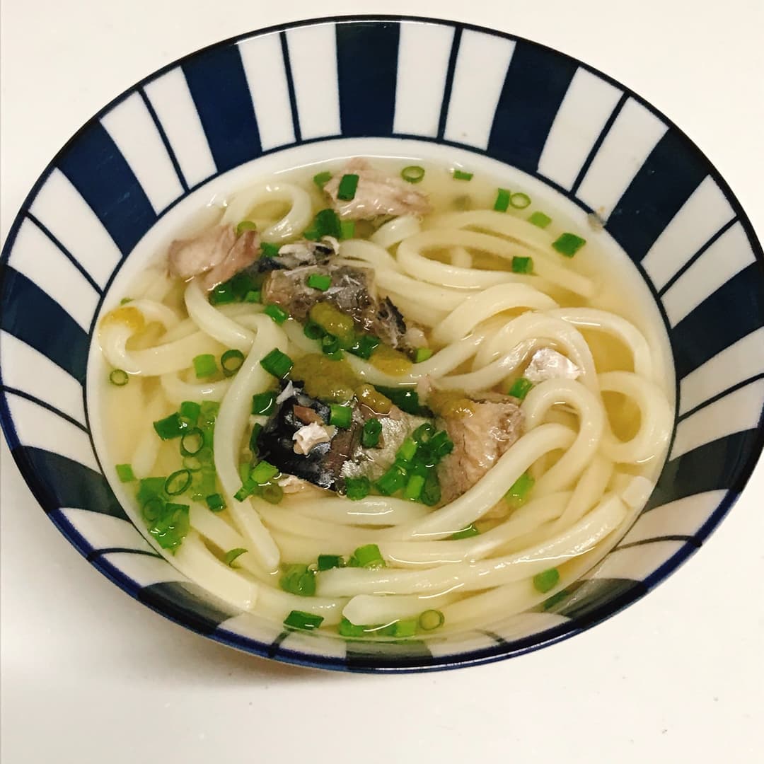 いりこだしの鯖うどんの完成写真