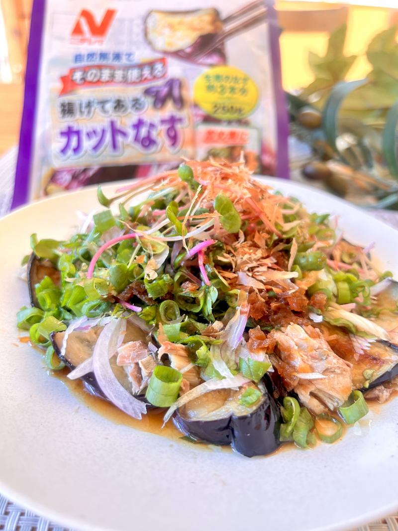 食材として使用したそのまま使える 揚げてあるカットなす（ベトナム産）も一緒に写した揚げなすとサバのたっぷり薬味のせ